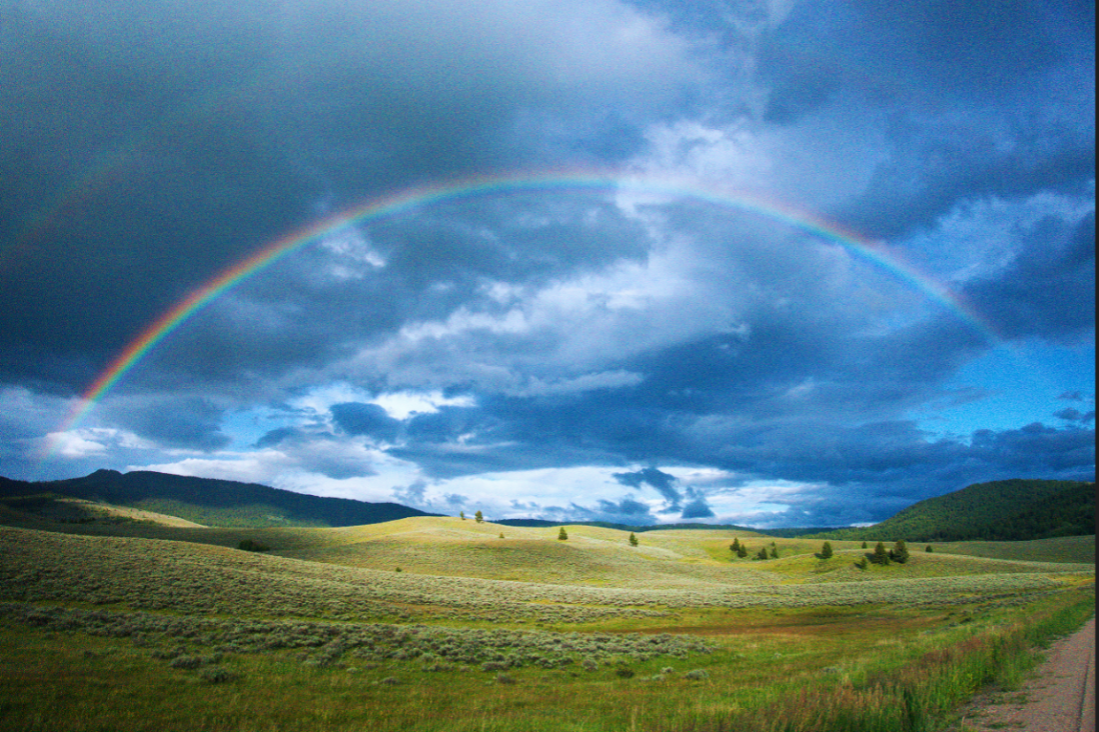 Screenshot_2018-07-17_at_8.06.08_PM